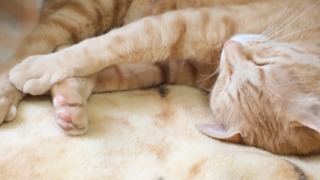 Thumbnail of post image 131