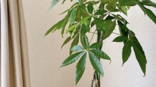 Thumbnail of post image 061
